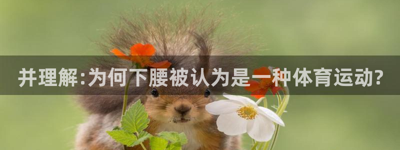 意昂F凯捷3官网：并理解:为何下腰被认为是一种体育运动?
