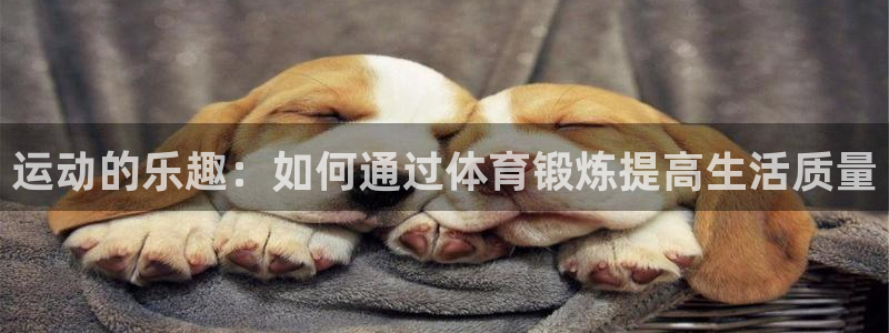 意昂F凯捷vk：运动的乐趣：如何通过体育锻炼提高生活质量