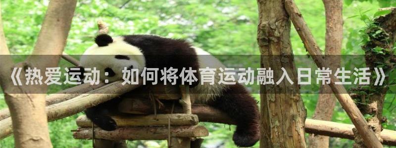 意昂F凯捷体育凯捷平台主管