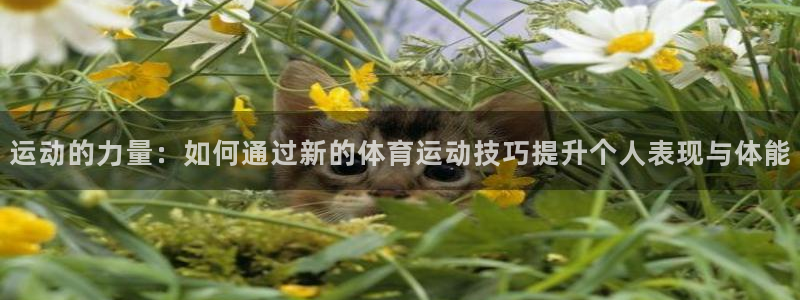 意昂3平台登录注册：运动的力量：如何通过新的体育运动技巧提升个人表现与体能