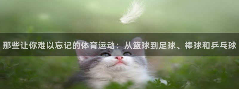意昂工课：那些让你难以忘记的体育运动：从篮球到足球、棒球和乒乓球