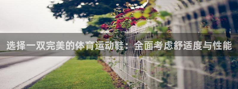 意昂3官网登录：选择一双完美的体育运动鞋：全面考虑舒适度与性能
