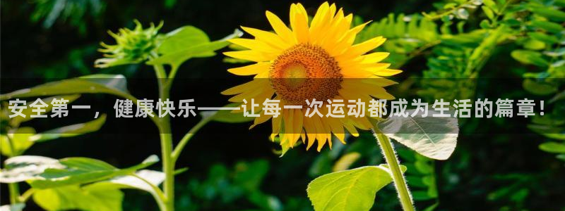 意昂F凯捷集团股票：安全第一，健康快乐——让每一次运动都成为生活的篇章！