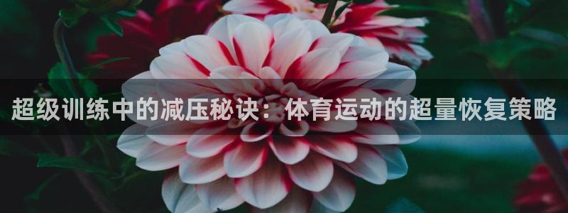 意昂F凯捷注册：超级训练中的减压秘诀：体育运动的超量恢复策略