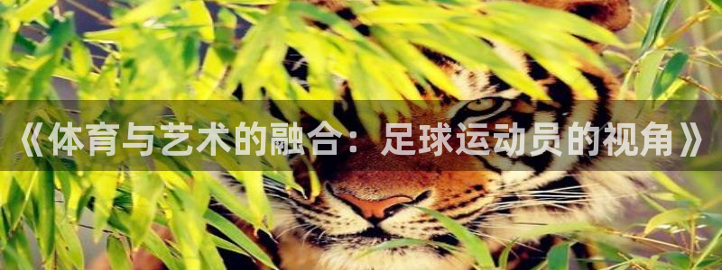 意昂F凯捷5：《体育与艺术的融合：足球运动员的视角》