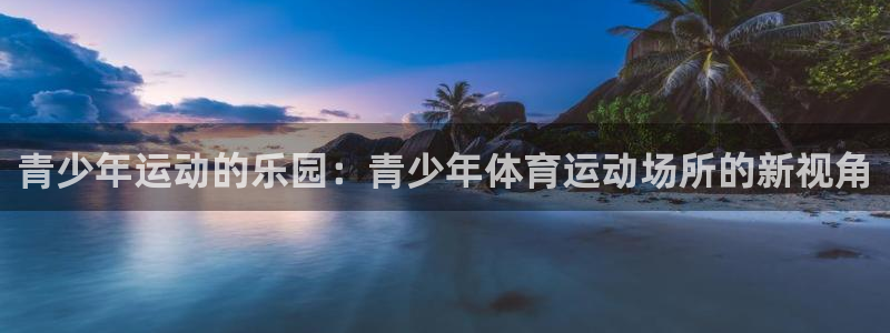 意昂F凯捷3登陆：青少年运动的乐园：青少年体育运动场所的新视角
