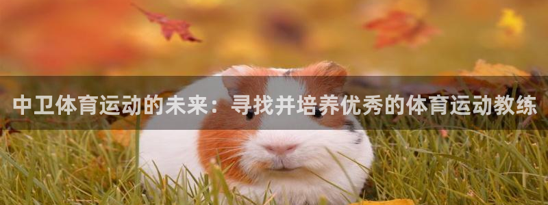 意昂F凯捷体育2官网入口：中卫体育运动的未来：寻找并培养优秀的体育运动教练