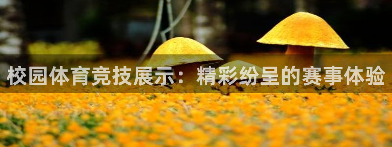 意昂F凯捷体育凯捷代理注册：校园体育竞技展示：精彩纷呈的赛事体验