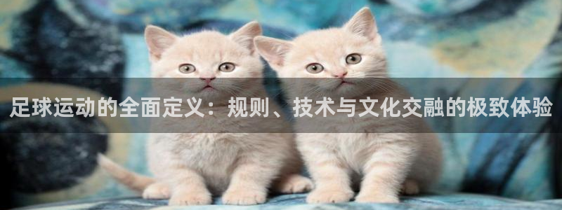 意昂F凯捷体育3：足球运动的全面定义：规则、技术与文化交融的极致体验