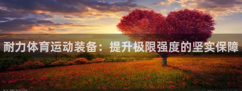 意昂F凯捷体育注册：耐力体育运动装备：提升极限强度的坚实保障