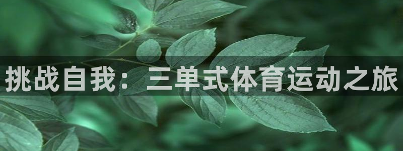 意昂F凯捷包怎么样：挑战自我：三单式体育运动之旅
