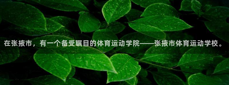 意昂5招商：在张掖市，有一个备受瞩目的体育运动学院——张掖市体育运动学校。