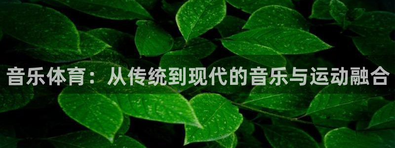 www.意昂F凯捷体育.com：音乐体育：从传统到现代的音乐与运动融合