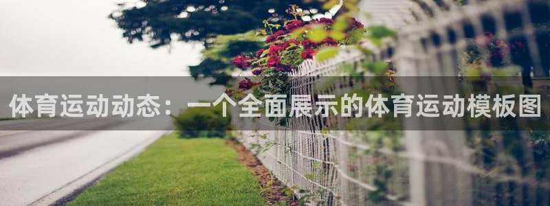 意昂F凯捷平台招商：体育运动动态：一个全面展示的体育运动模板图