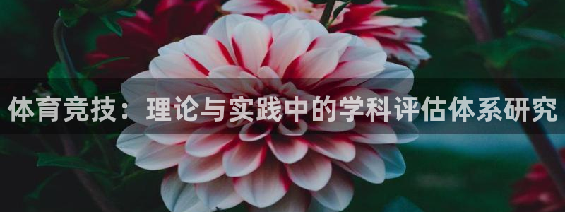 意昂F凯捷kgame：体育竞技：理论与实践中的学科评估体系研究