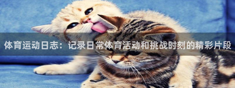 意昂F凯捷f平台注册：体育运动日志：记录日常体育活动和挑战时刻的精彩片段